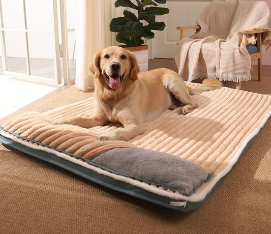 PetPad™ Orthopedic Dog Bed